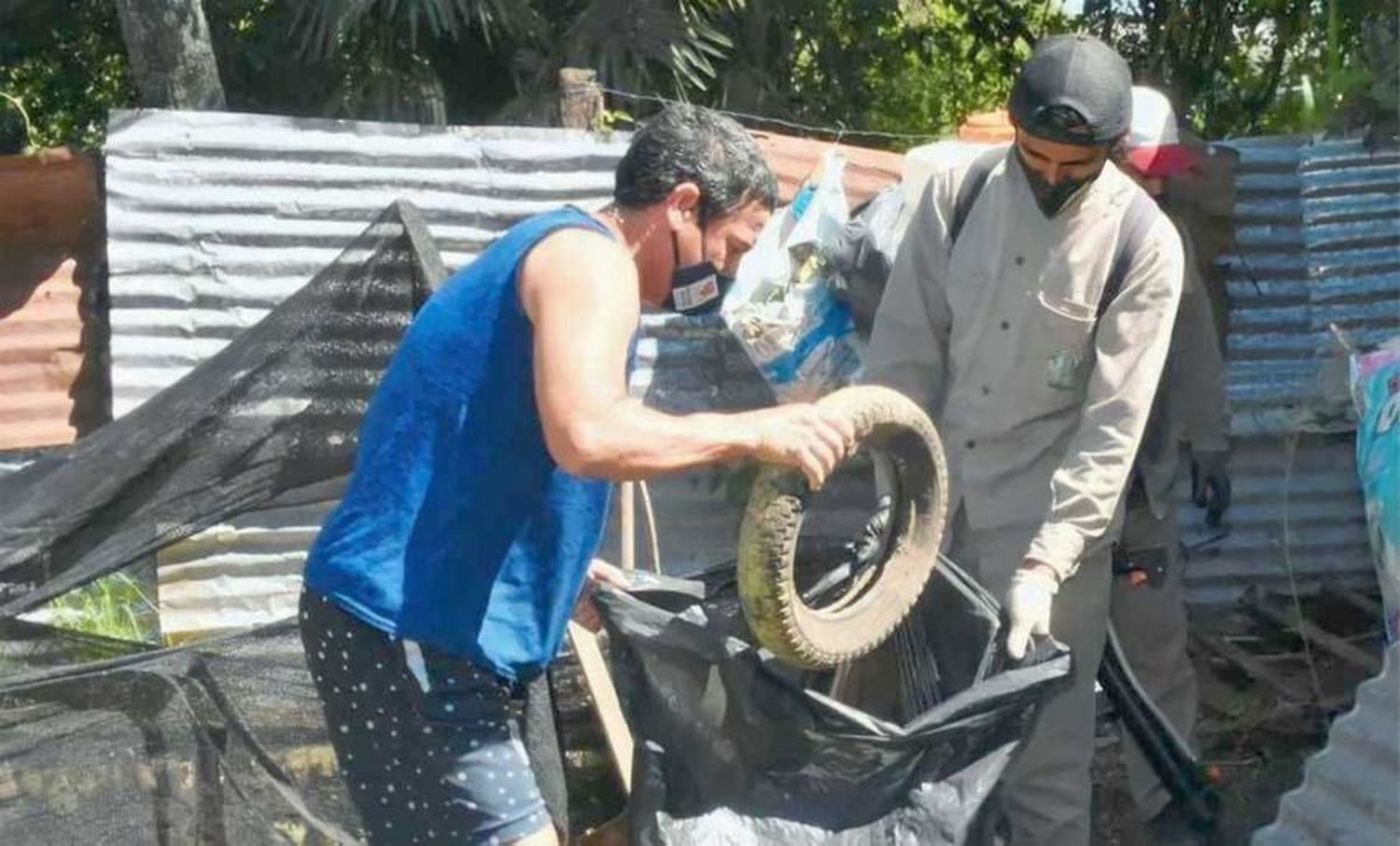 La provincia actualmente 
no registra casos de dengue