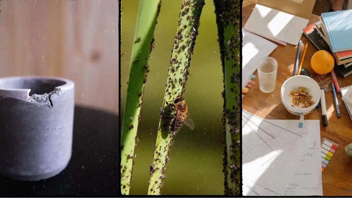 ¿DESEAS MÁS DINERO? Saca esto de tu casa ya