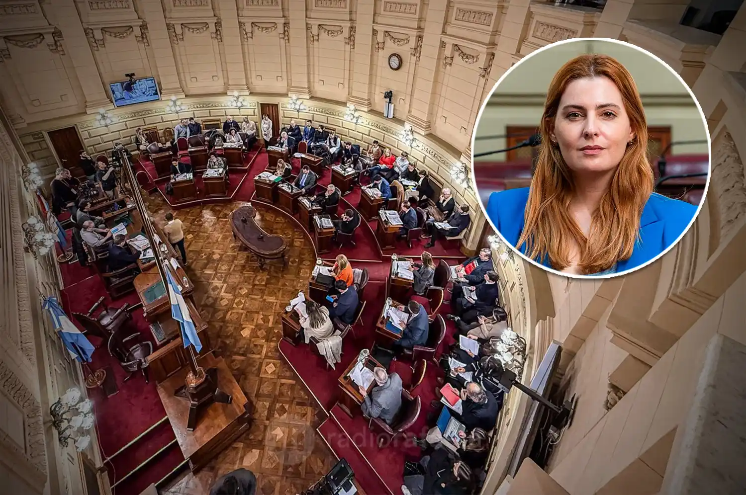 Lionella Cattalini y el proceso de reforma constitucional: "Hay mucho orgullo y mucha responsabilidad"