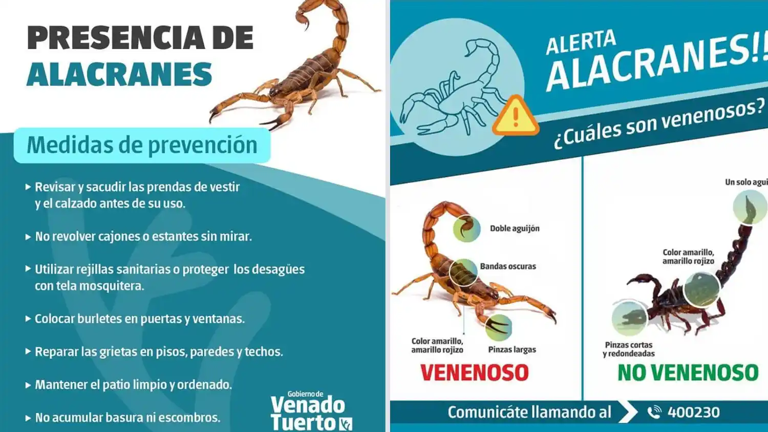 alacranes