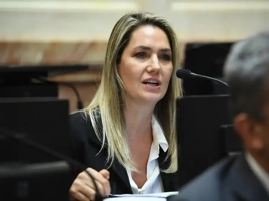 El Senado debate una ley para castigar las falsas denuncias