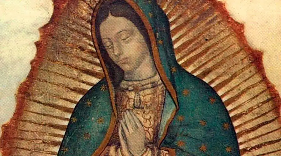 Festejo Patronal virgen de Guadalupe