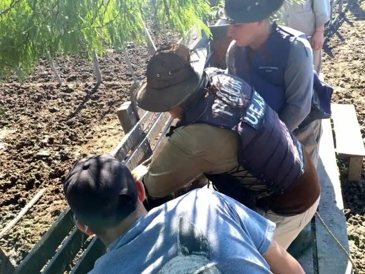Colonia Alto Alegre: nuevos secuestros de hacienda por fraude documental