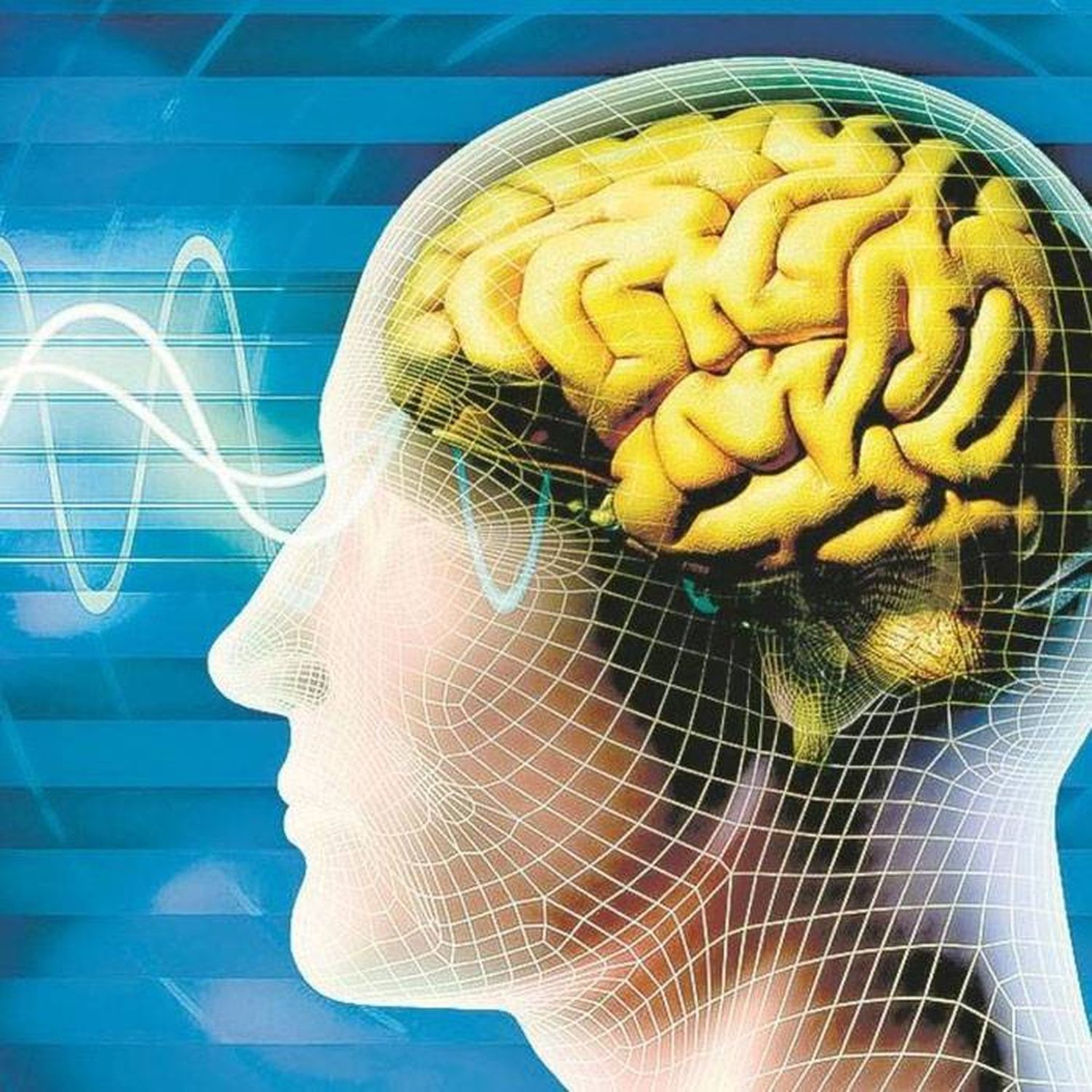 Una investigación asegura que el coronavirus ingresa al cerebro