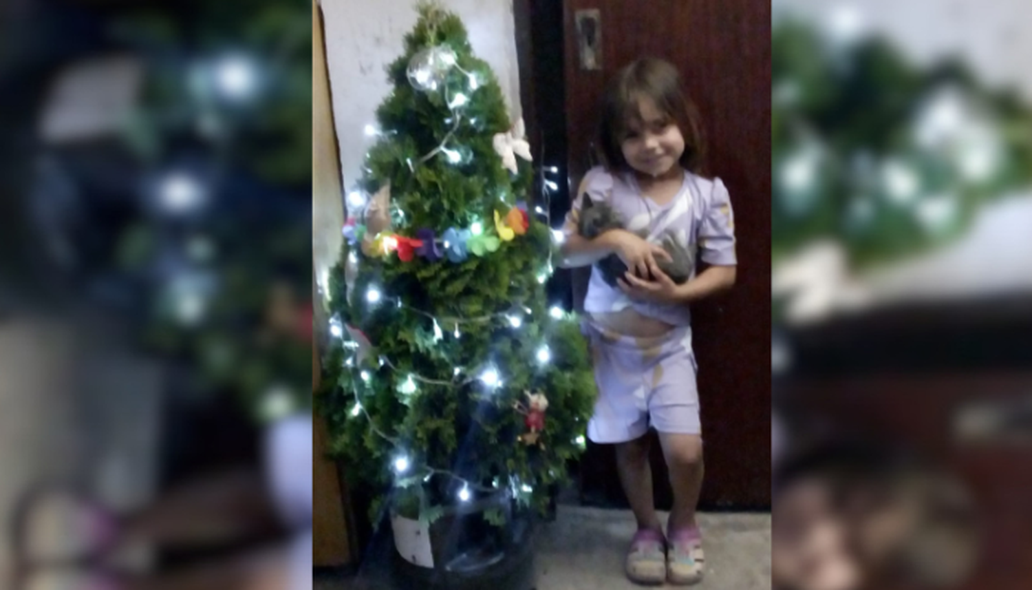 Helena y su michi ya esperan a Papá Noel