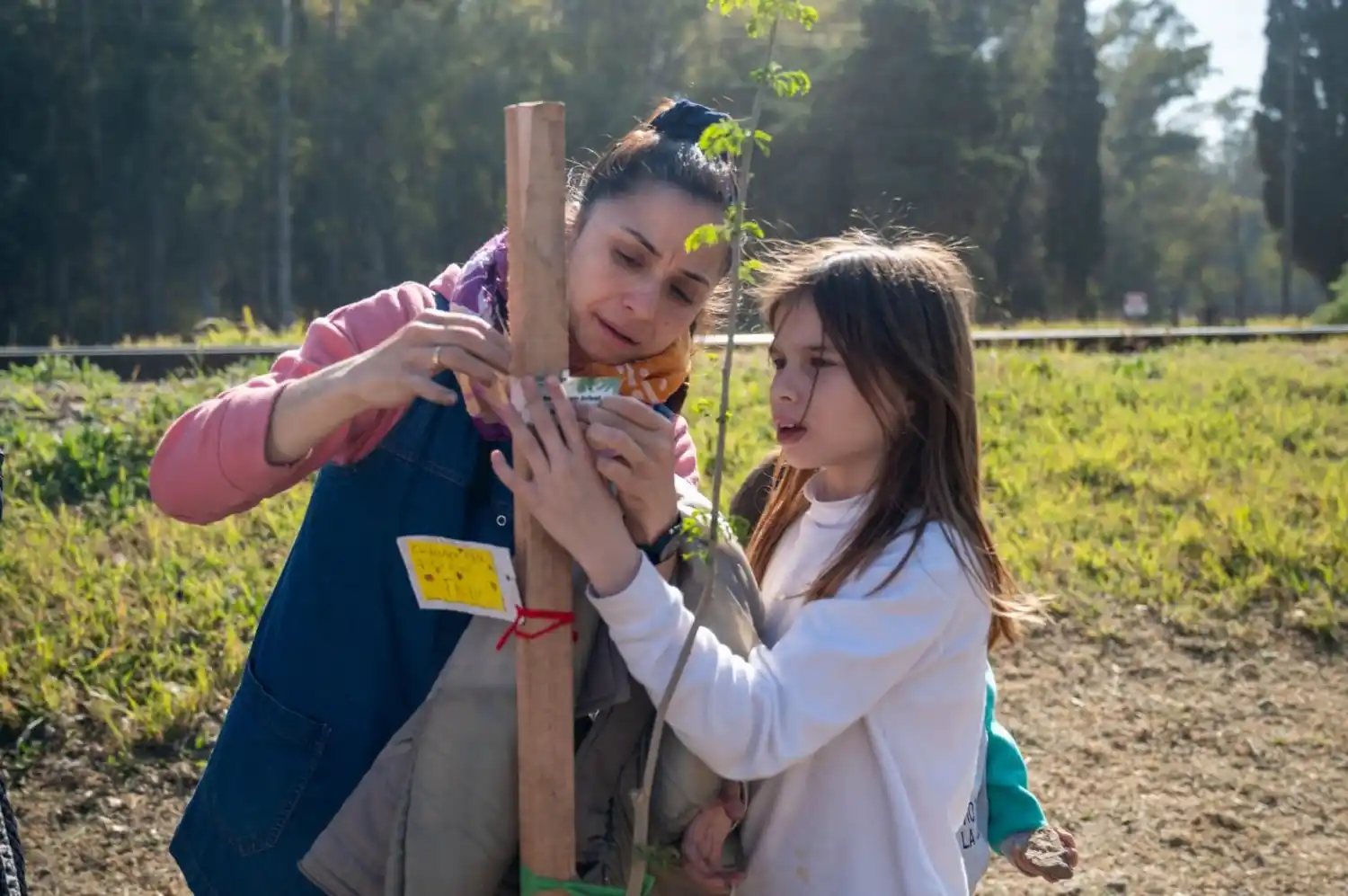 En Paraje La Curva, los niños dejaron un mensaje de concientización junto a cada árbol