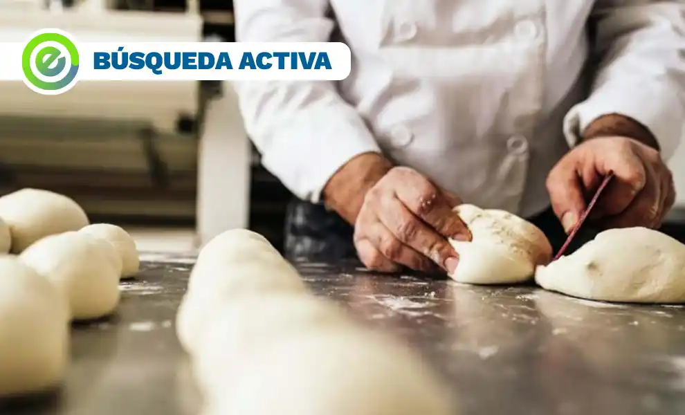 Búsqueda de empleo