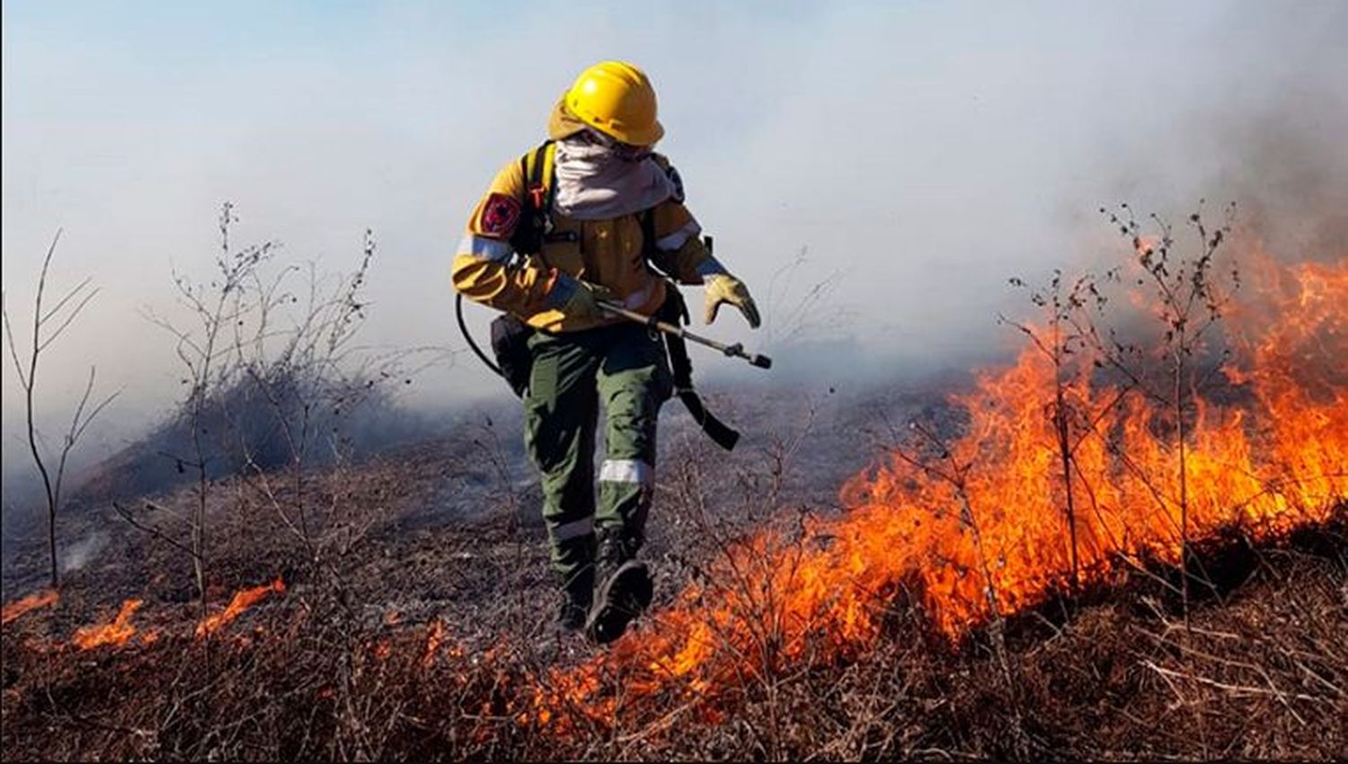 Los acusados de los incendios en el Delta del Paraná deberán afrontar un juicio oral y público