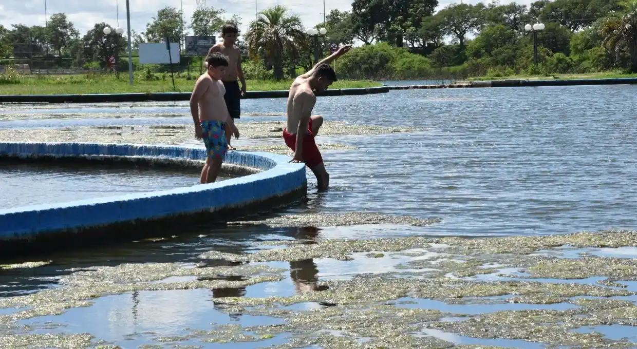 Parque del Sur: el agua de los piletones en descomposición