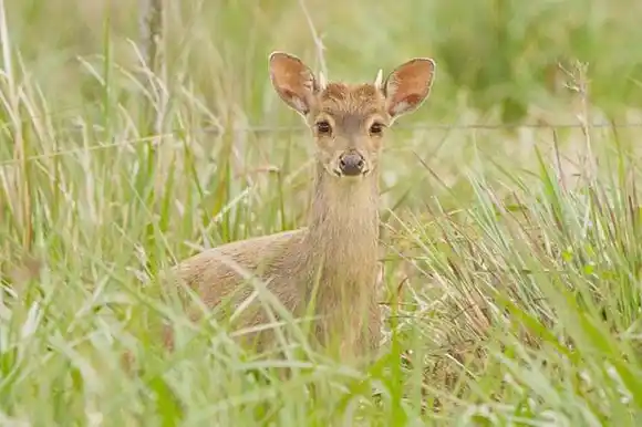 El gobierno provincial apoya el desarrollo de las Áreas Naturales Protegidas