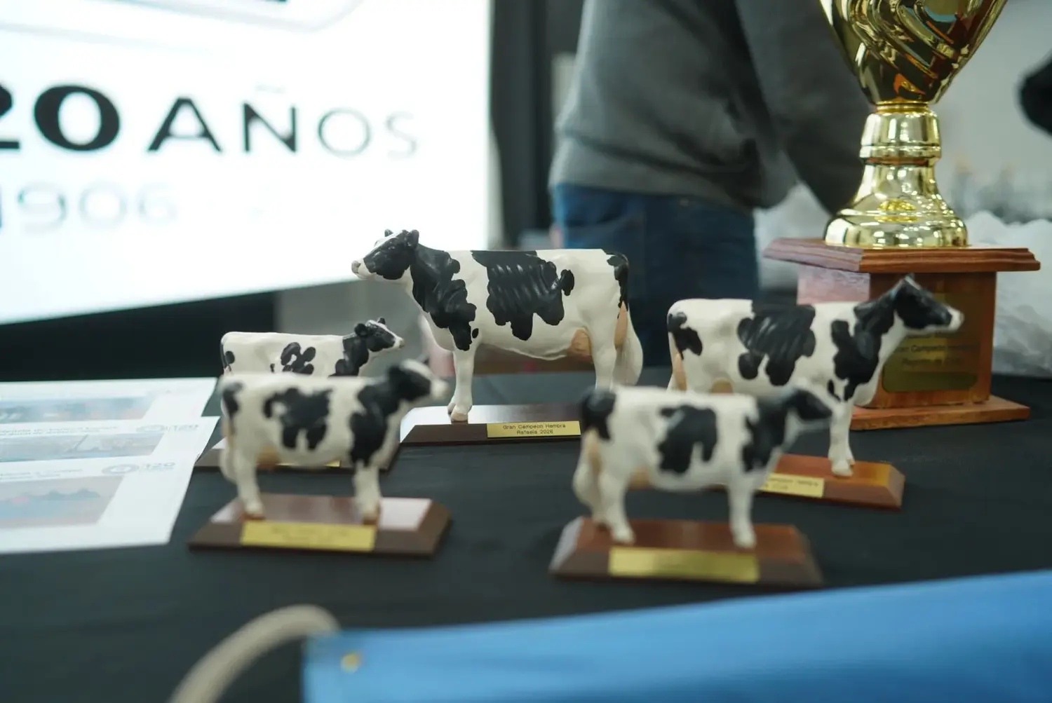 LHUAB volvió a quedarse con la Gran Campeona del Concurso de Vacas a Campo de la ExpoRural