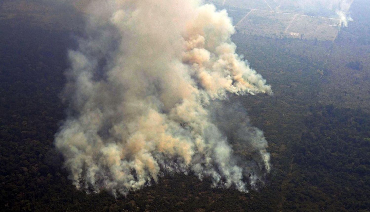 Incendios en el Amazonas: se queman tres canchas de fútbol por minuto