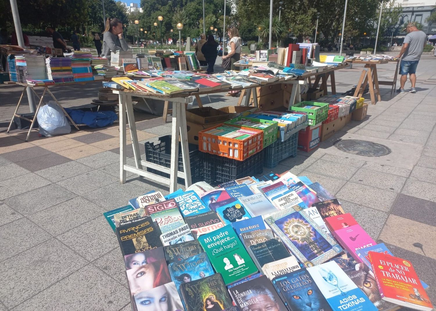 La feria de libros usados de la peatonal, un clásico en cada regreso a clases.