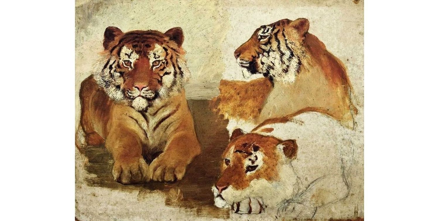 “Boceto de tigres” de Julia Wernicke. Foto: Museo Casa Yrurtia