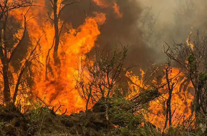 Otorgan beneficios excepcionales a población afectada por incendios en Chubut