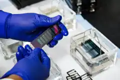 Arribó la primera tanda de kits de testeo rápido y se dejarán de enviar muestras al INE
