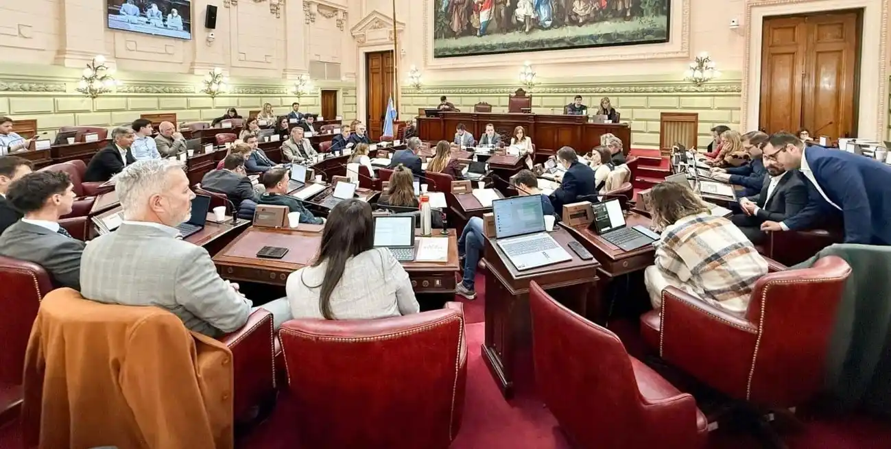 La Convención Reformadora analiza un artículo para promover el desarrollo industrial. Foto: Gentileza