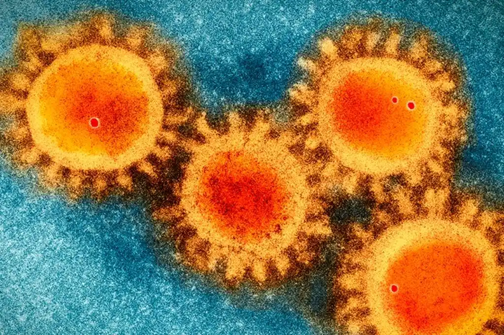 La OMS advierte: la subvariante XE de ómicron podría ser la más contagiosa de todas