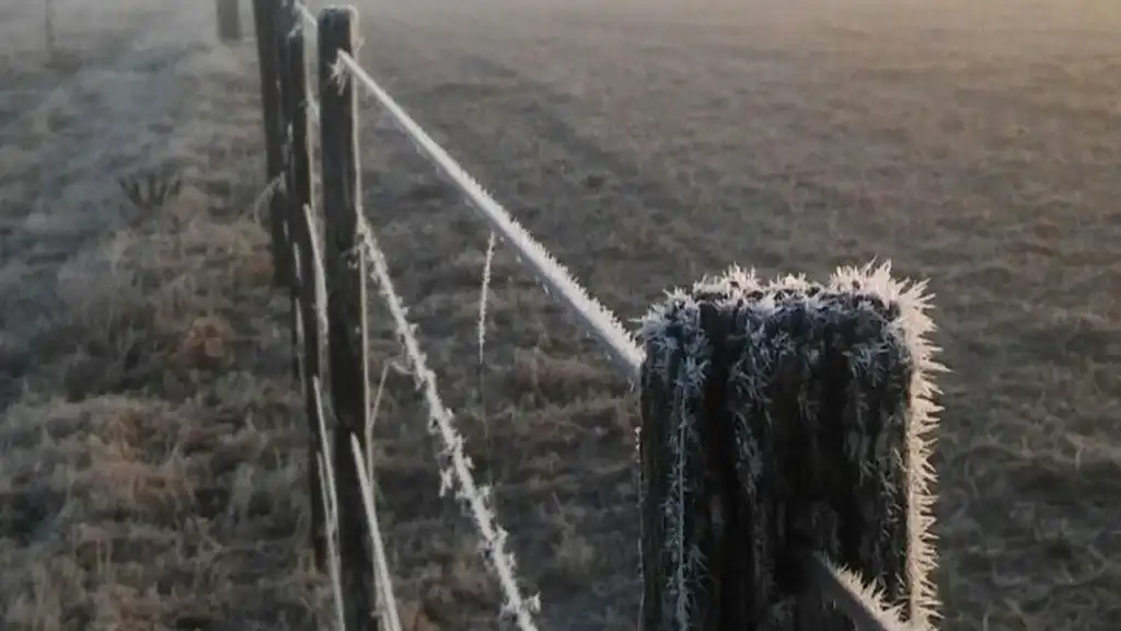 Pronostican heladas con temperaturas de hasta -5 grados en el campo para julio
