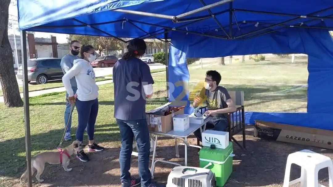 Segunda jornada de sanidad animal en María Teresa 