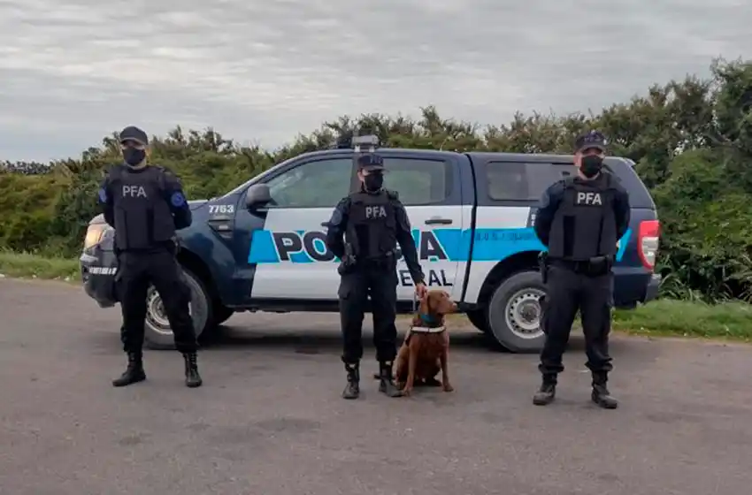 Con un can, la policía federal desarrolla operativos en Olavarria
