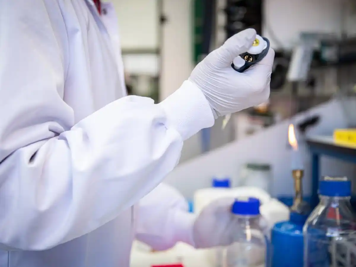 Mal de los rastrojos y coronavirus