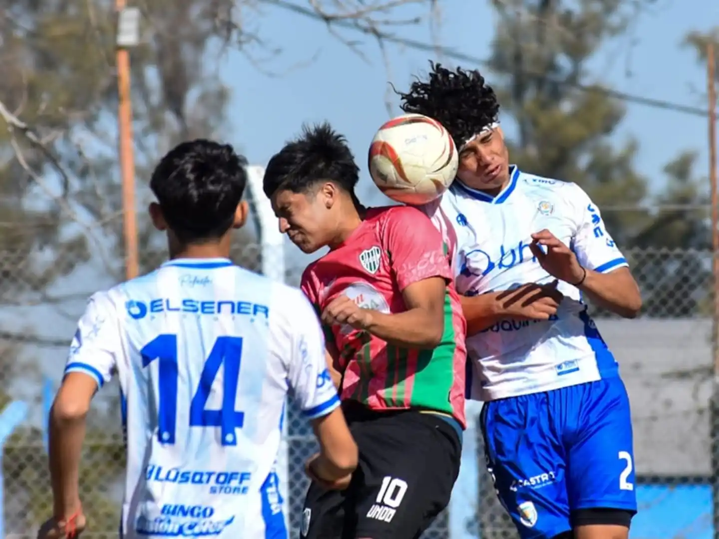 inferiores afa atletico