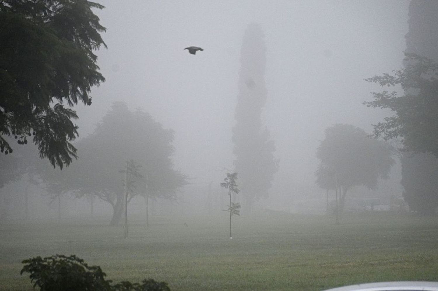 Mucha niebla en la ciudad