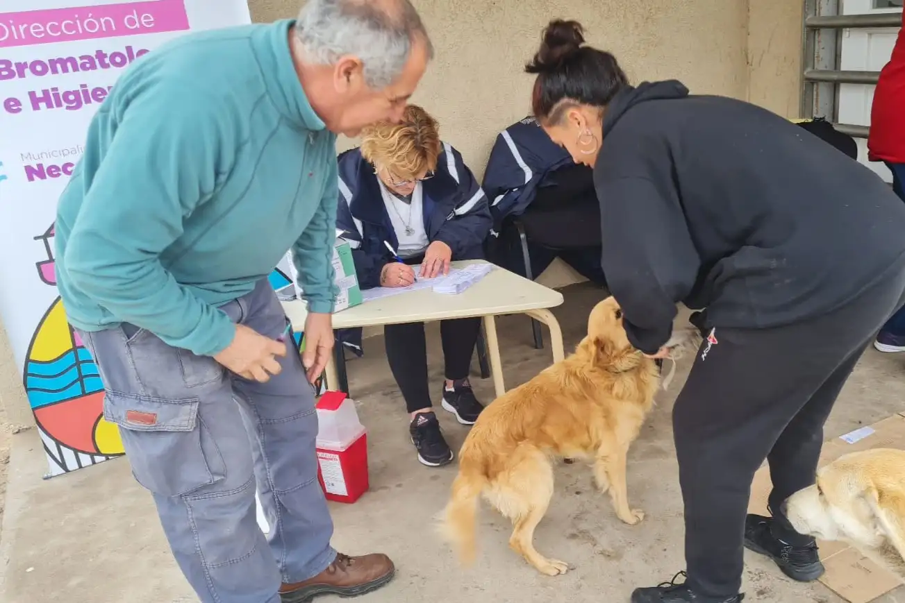 Cuidado más responsable para evitar contagios innecesarios en humanos.