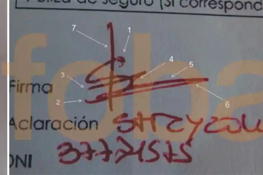 Una pericia determinó que la firma del acta de divorcio no fue de Cecilia