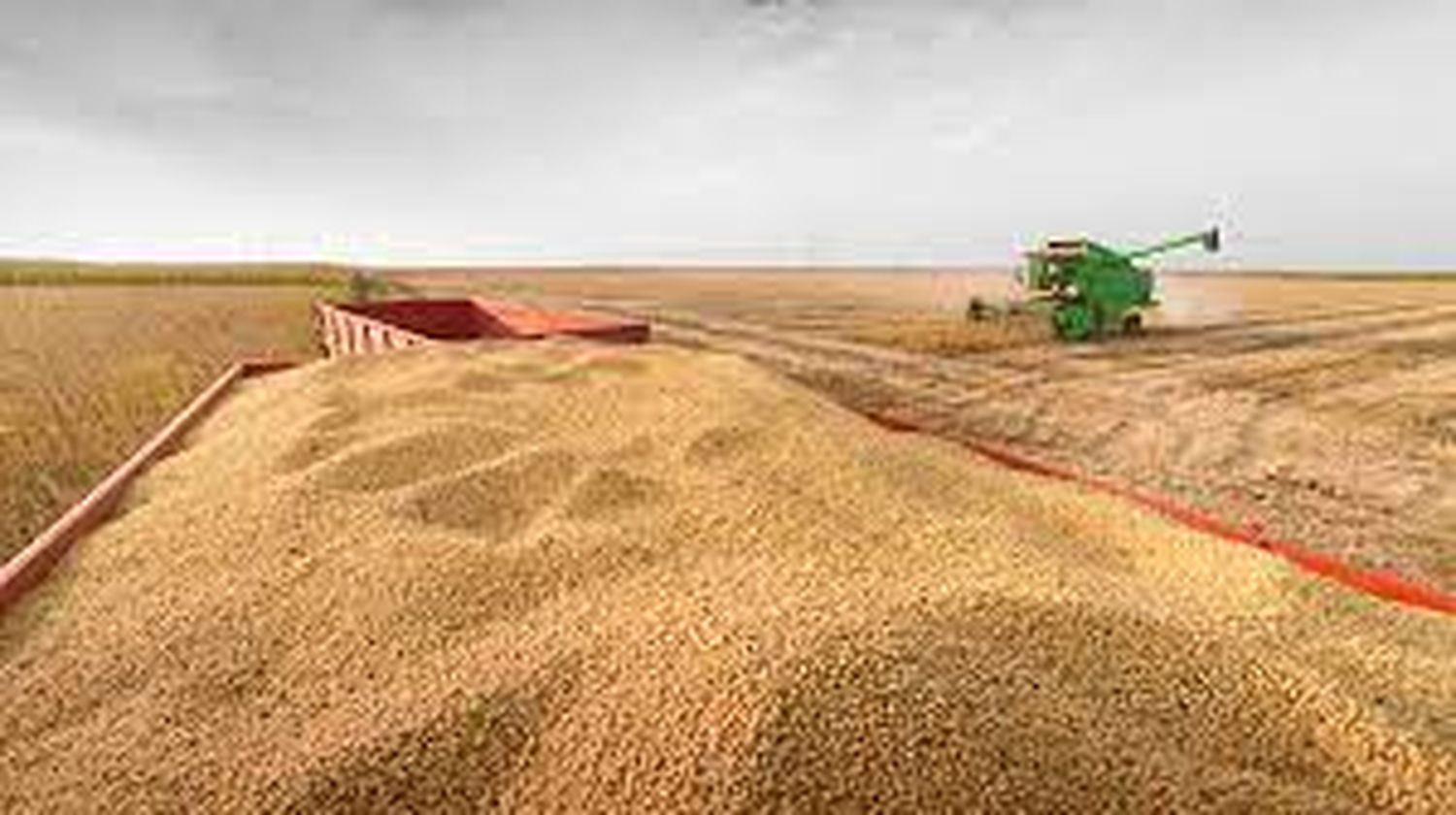 Bolsa de Cereales: Lanzamiento de la campaña gruesa 2022-2023