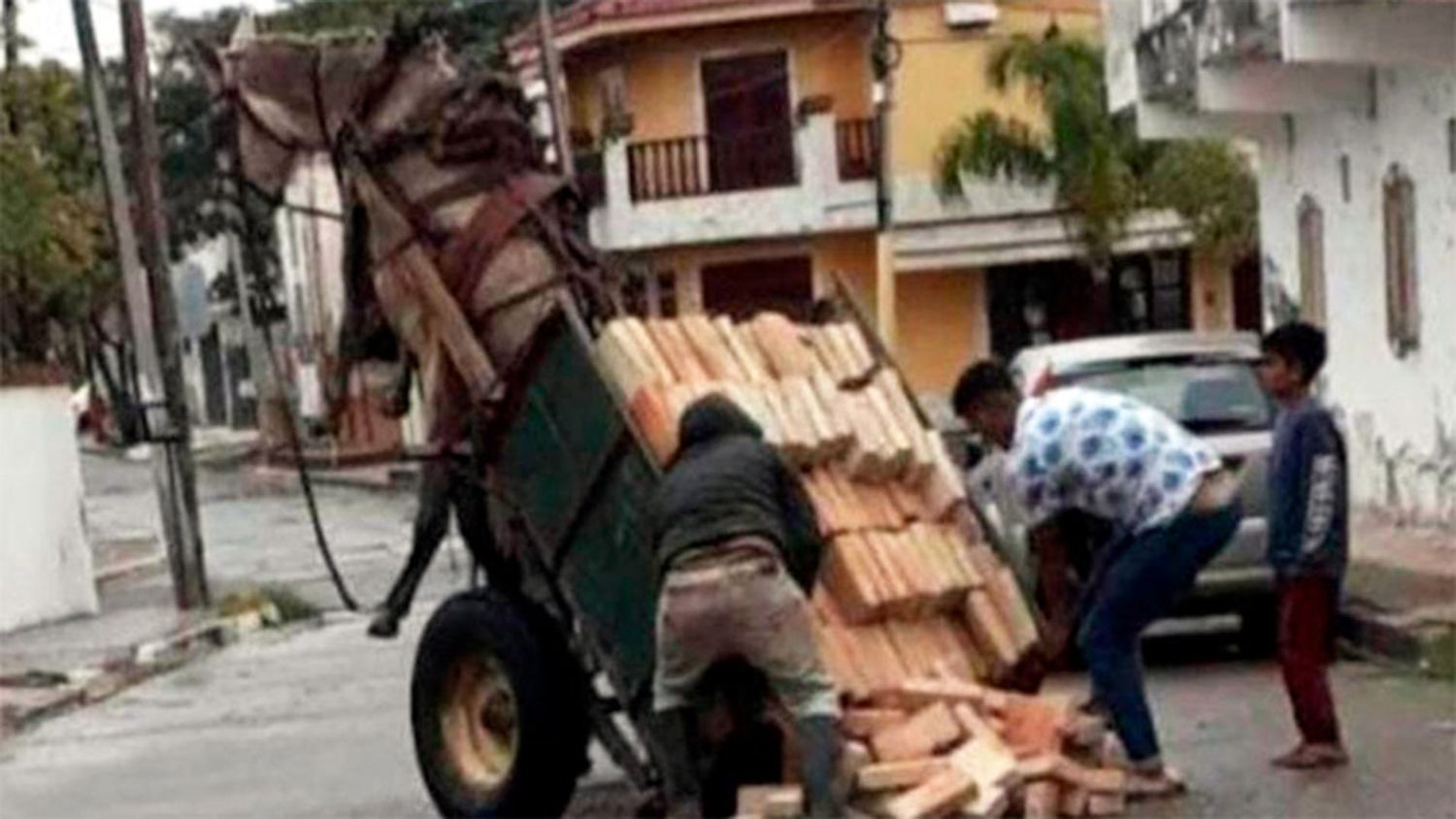 Un caballo quedó colgado en el aire por exceso de peso en el carro que tiraba