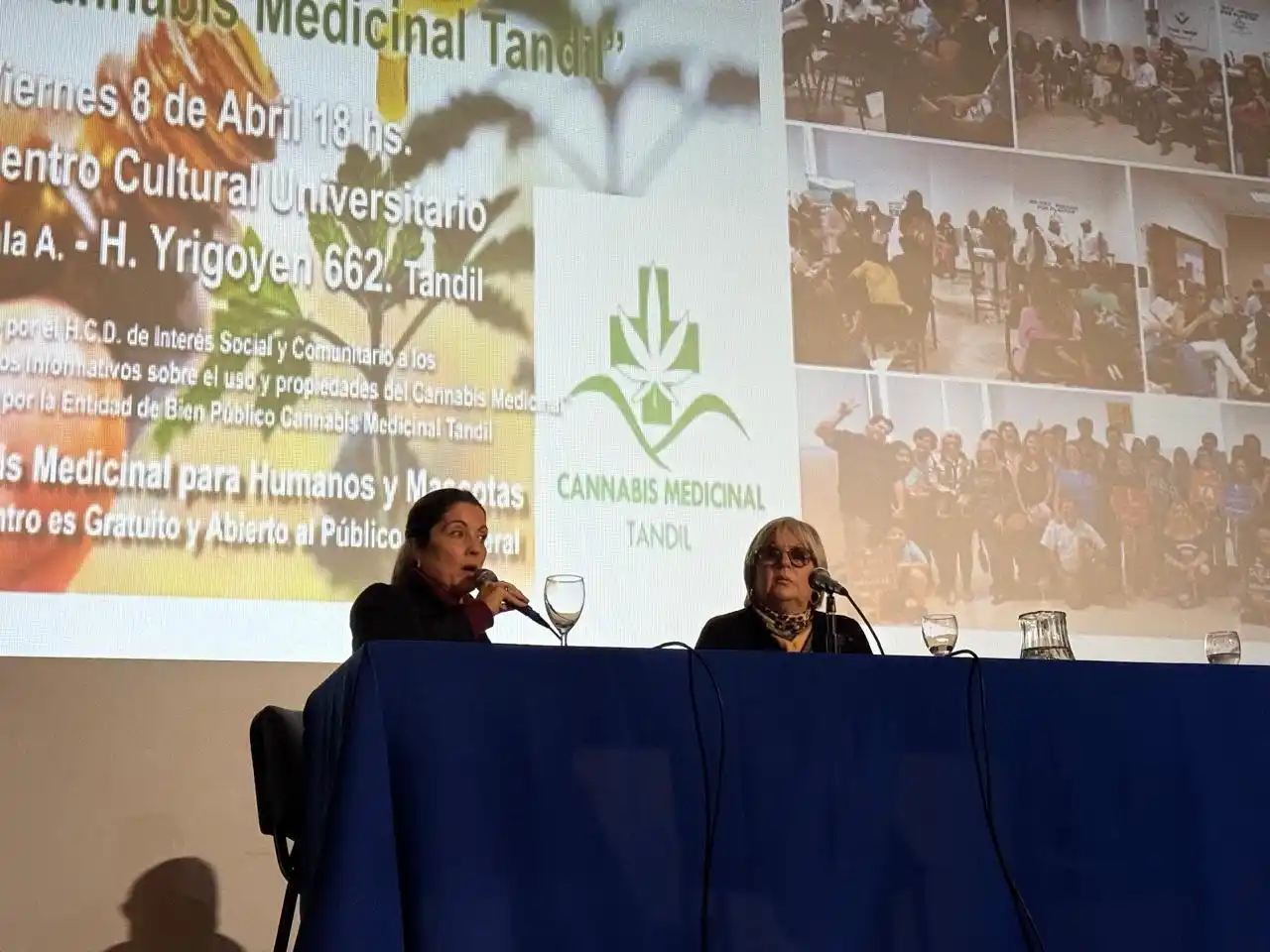 jornada provincial cannabis terapeutico 13-06-25 - 2