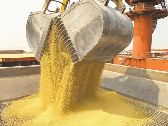 Récord histórico: el agro liquidó US$ 7.100 millones en septiembre