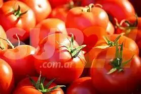 La brecha de precios en productos agropecuarios bajó el 4,9%