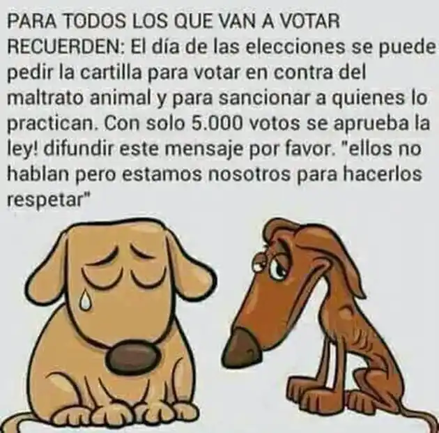 Mensaje viral falso: En las PASO no se vota contra el maltrato animal