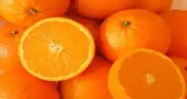 Argentina exporta naranjas frescas a Corea del Sur