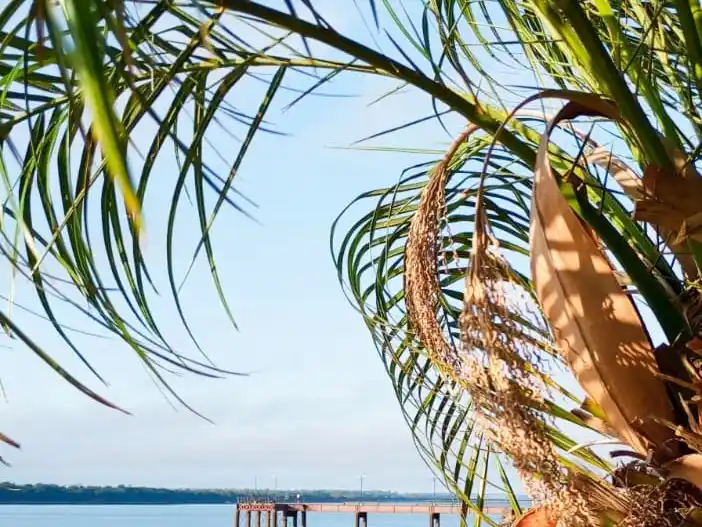 Tras un fin de semana lluvioso, el calor regresa a Concordia y la región