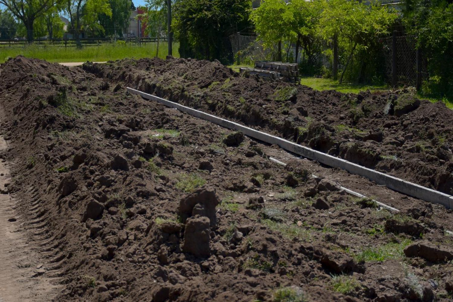 Construyen cordón cuneta en calle Profesor Morán