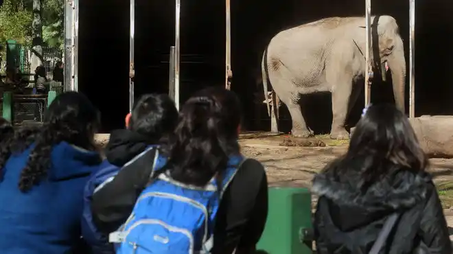 La Plata: Buscan convertir el Zoo en espacio de estudio y preservación
