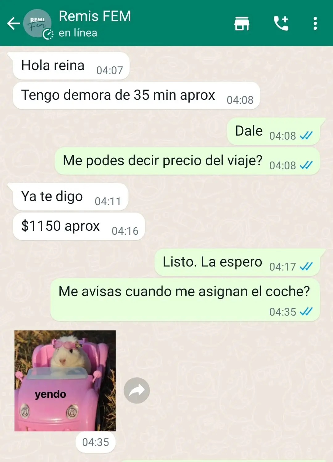 RemiFem1