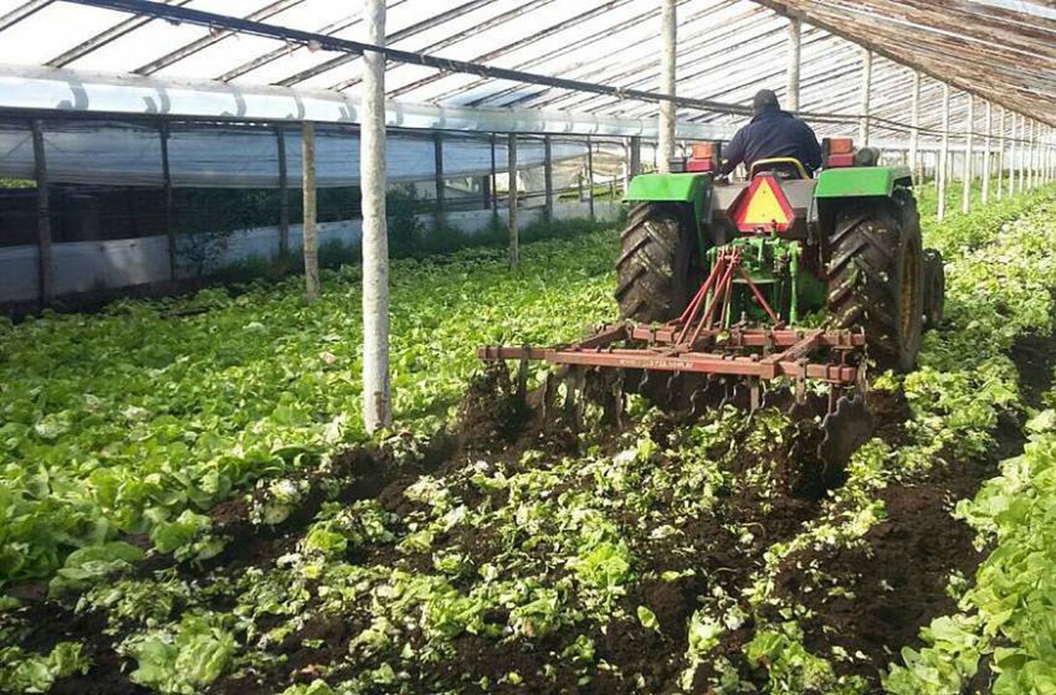 Frutihortícolas: "Esta ayuda del Gobierno no la vamos a desperdiciar"