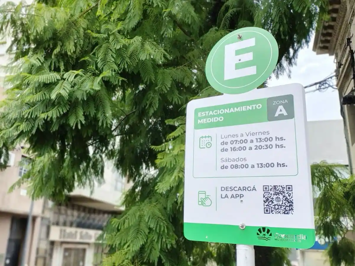 Estacionamiento medido: exceptuación de patentes