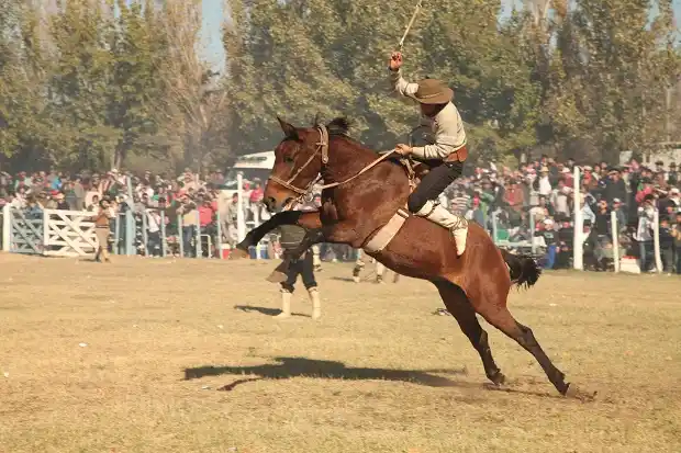 Jineteadas: conforman una Comisión Especial para abordar la problemática