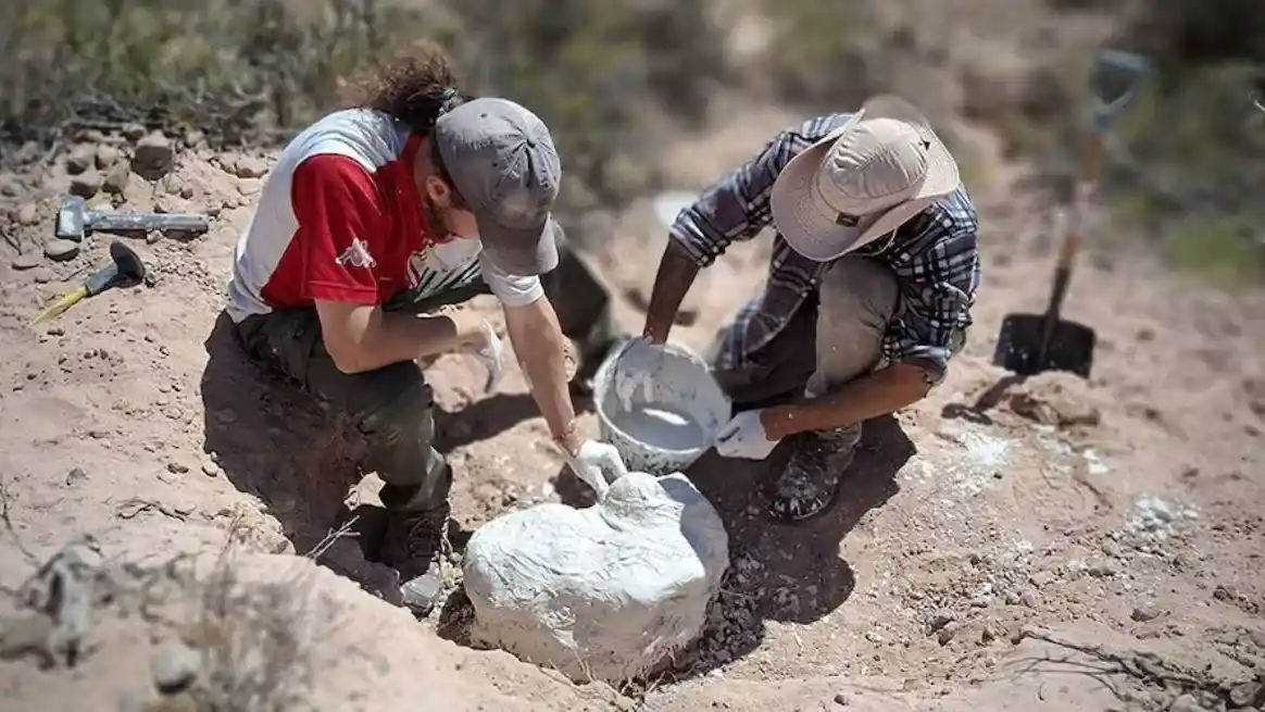 Hallazgo en la Patagonia: descubrieron fósiles de un cocodrilo terrestre de 85 millones de años