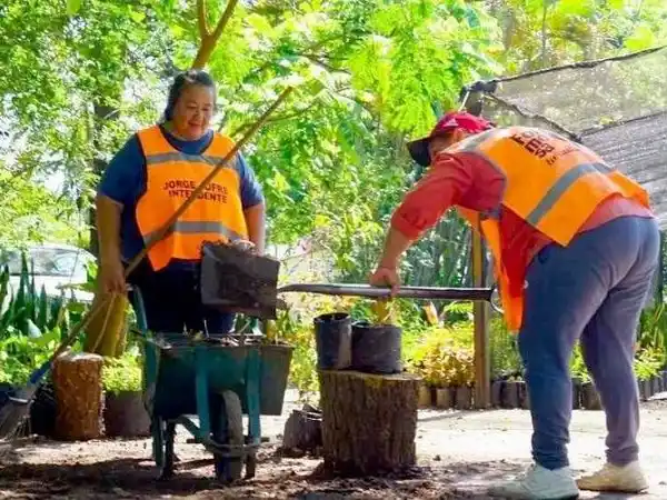 La ciudad se prepara para una nueva 
campaña de arbolado urbano desde abril