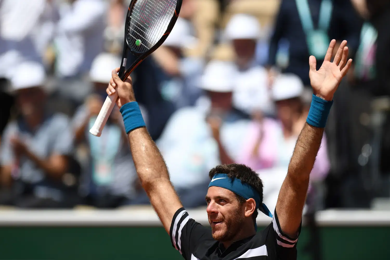 Del Potro jugará mañana