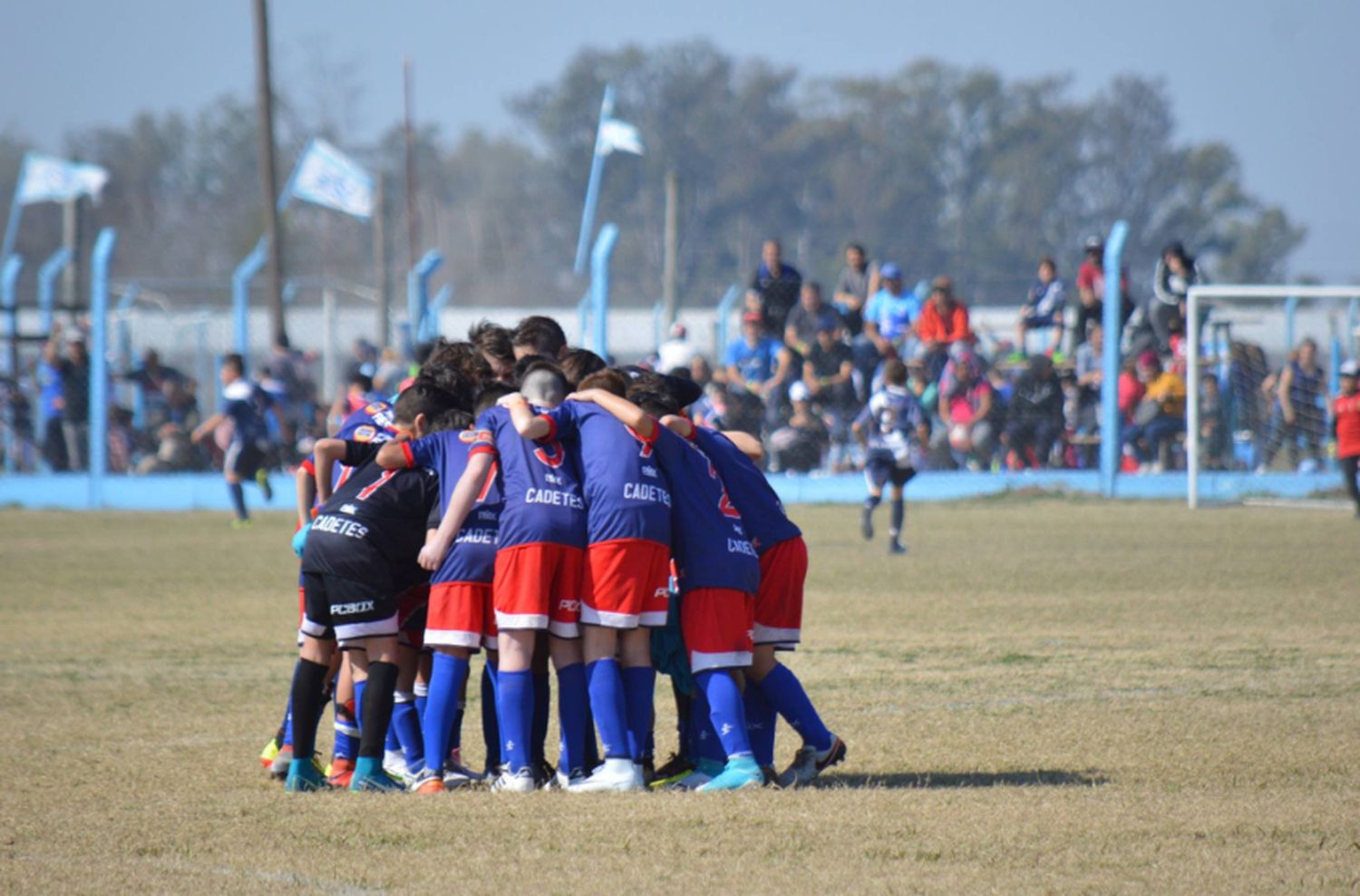 San Lorenzo, Cadetes, San José y Círculo pasaron de ronda