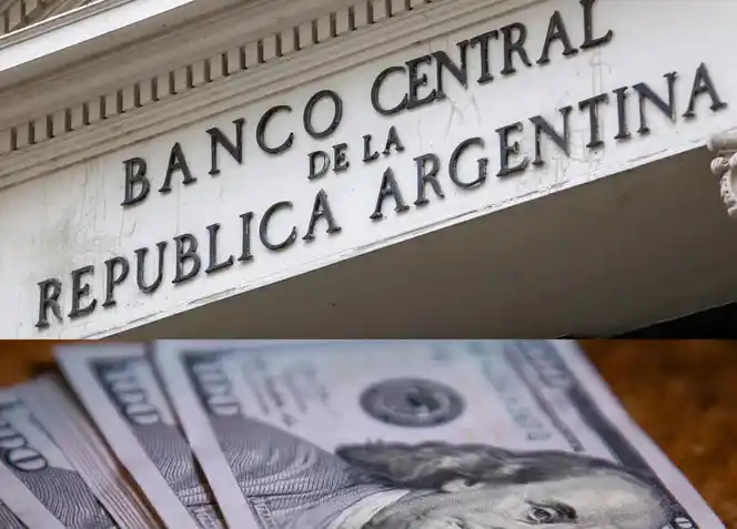 El Banco Central pudo comprar pocos dólares