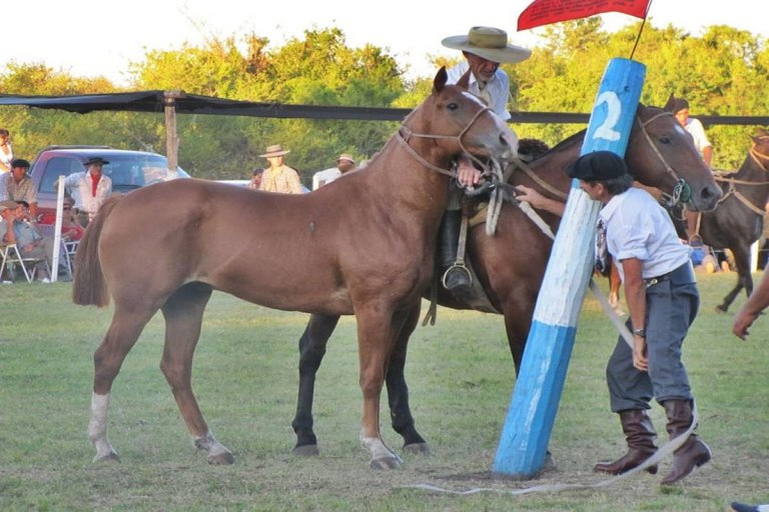 Se determinó que en los eventos hípicos tendrán que contar con la presencia de un veterinario certificado